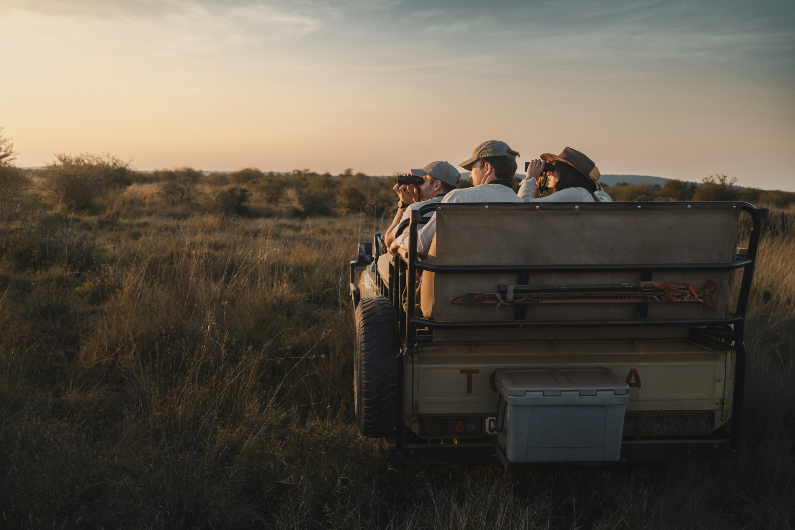 Safari guests on a game drive at sunset